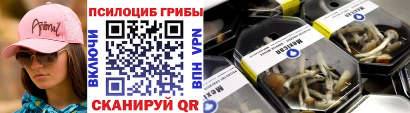 Псилоцибиновые грибы прущие грибы  наркотики  ОМГ ОМГ онион  Борзя 